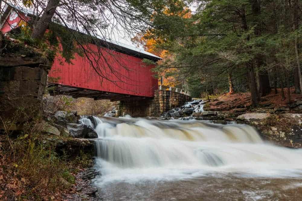 Fall foliage along the Appalachian Trail in Michaux State Forest in Cumberland County PA