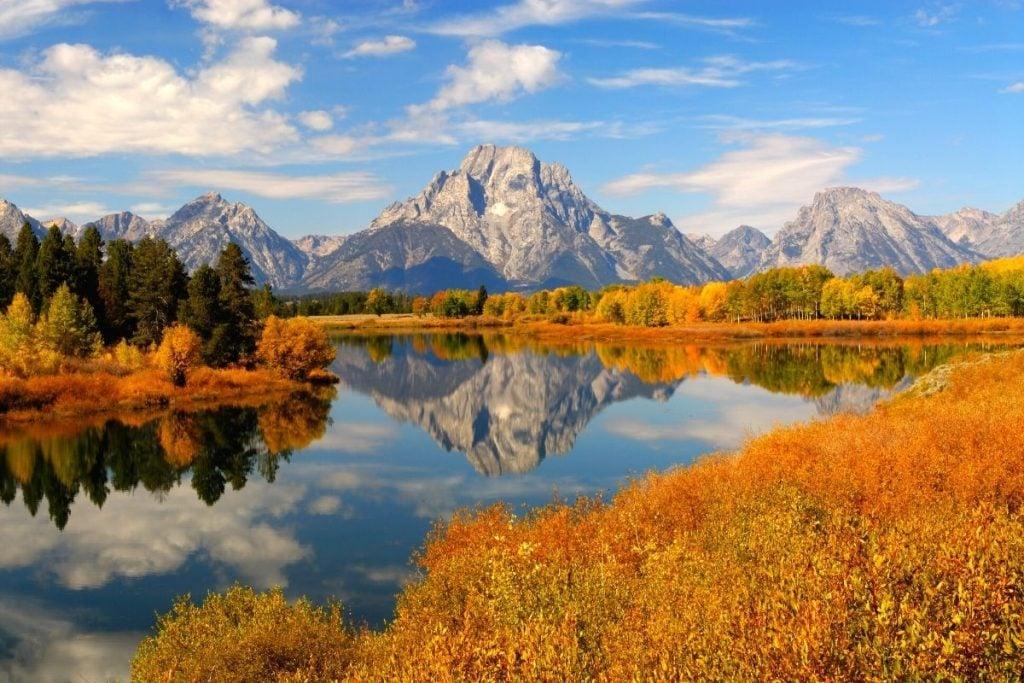 Orange fall grasses and the Snake River with Teton views from Oxbow Bend in Grand Teton