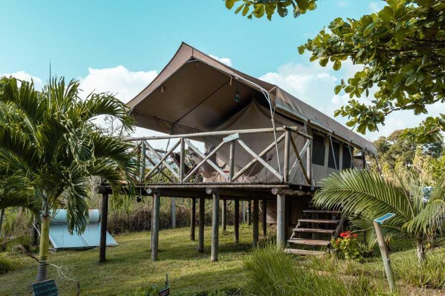 The safari tents surrounded by palm trees at Otentic Eco Tent Experience