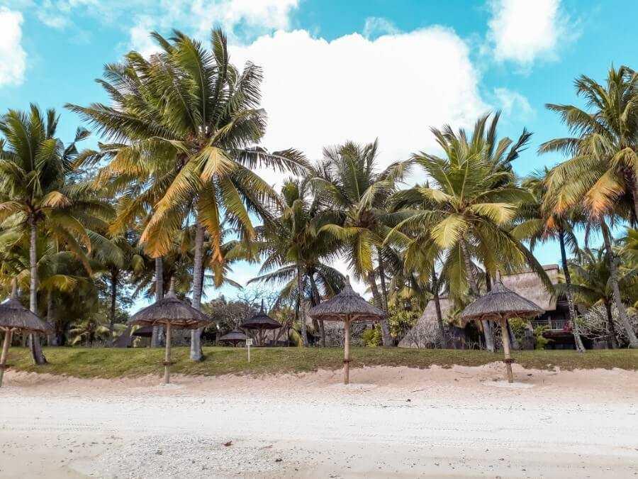 thatched umbrellas and coconut trees lining down the beach in from of Trou aux Biches Beachcomber Hotel