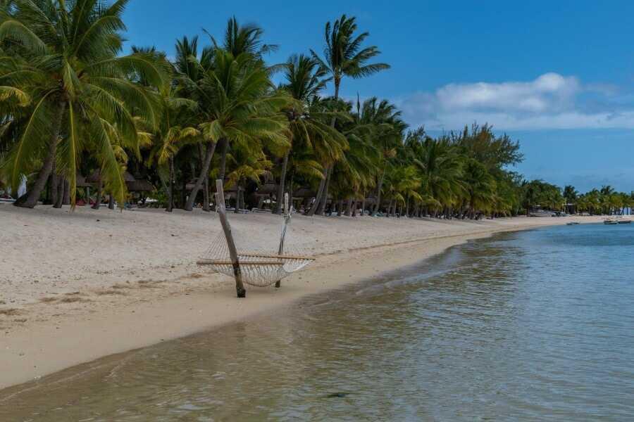 a hammock on le morne beach lined by palm trees - beat area in Mauritius