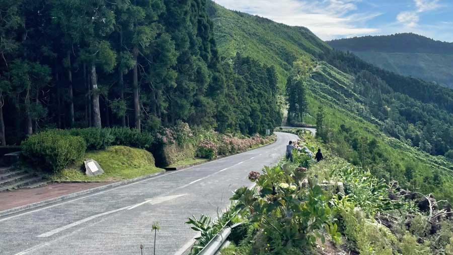 A scenic road in São Miguel Island