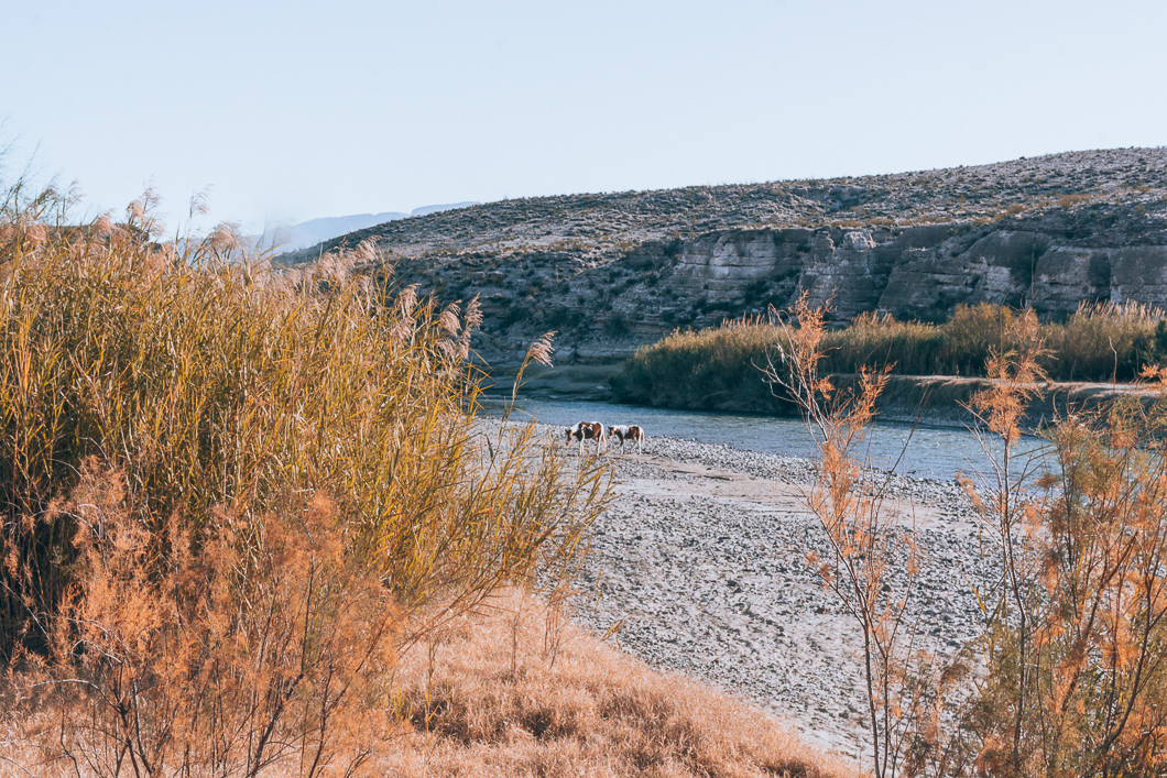 Where To Stay In Big Bend National Park