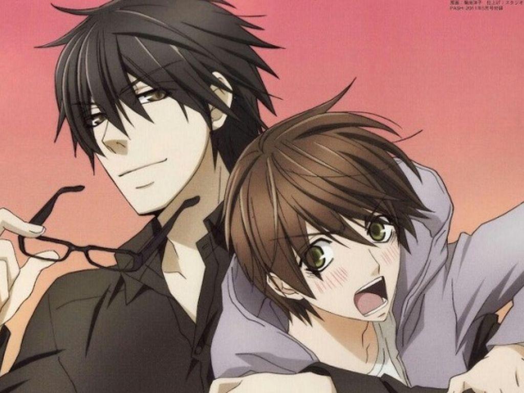 Top 19 Must-Watch Yaoi Anime, Hot Picks for Female Fans