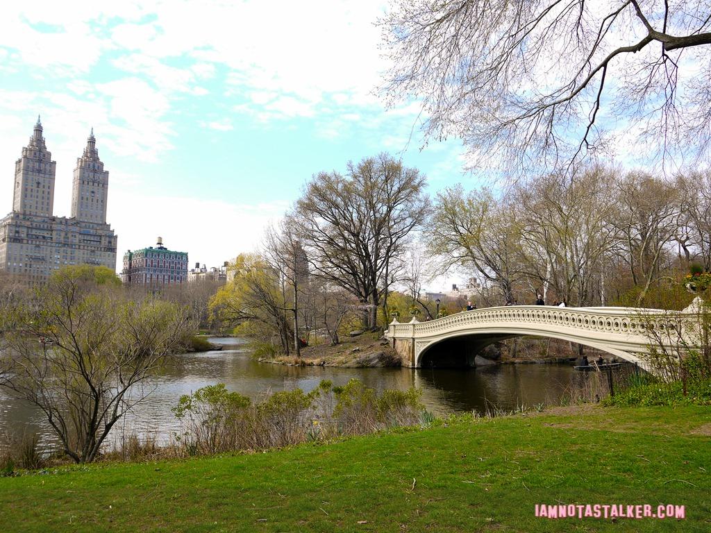 Bow Bridge from Glee-1140163