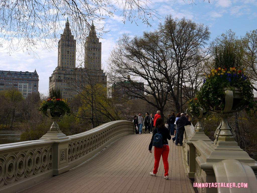 Bow Bridge from Glee-1140179