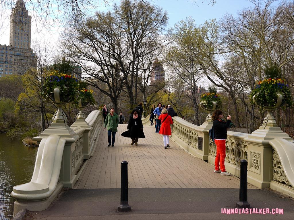 Bow Bridge from Glee-1140159