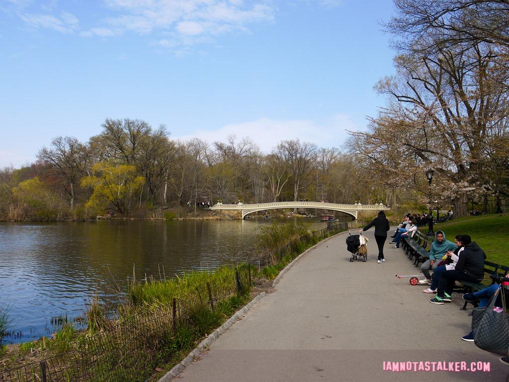 Bow Bridge from Glee-1140152