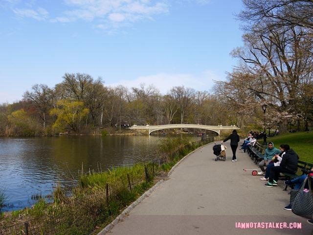 Bow Bridge from Glee-1140153