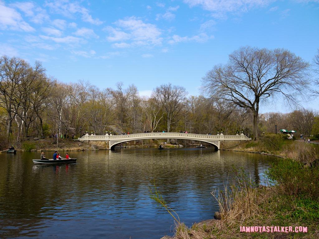 Bow Bridge from Glee-1140158