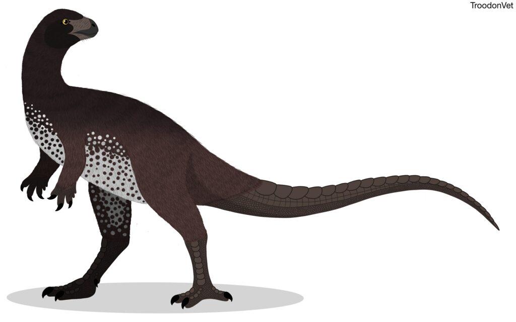 Oryctodromeus