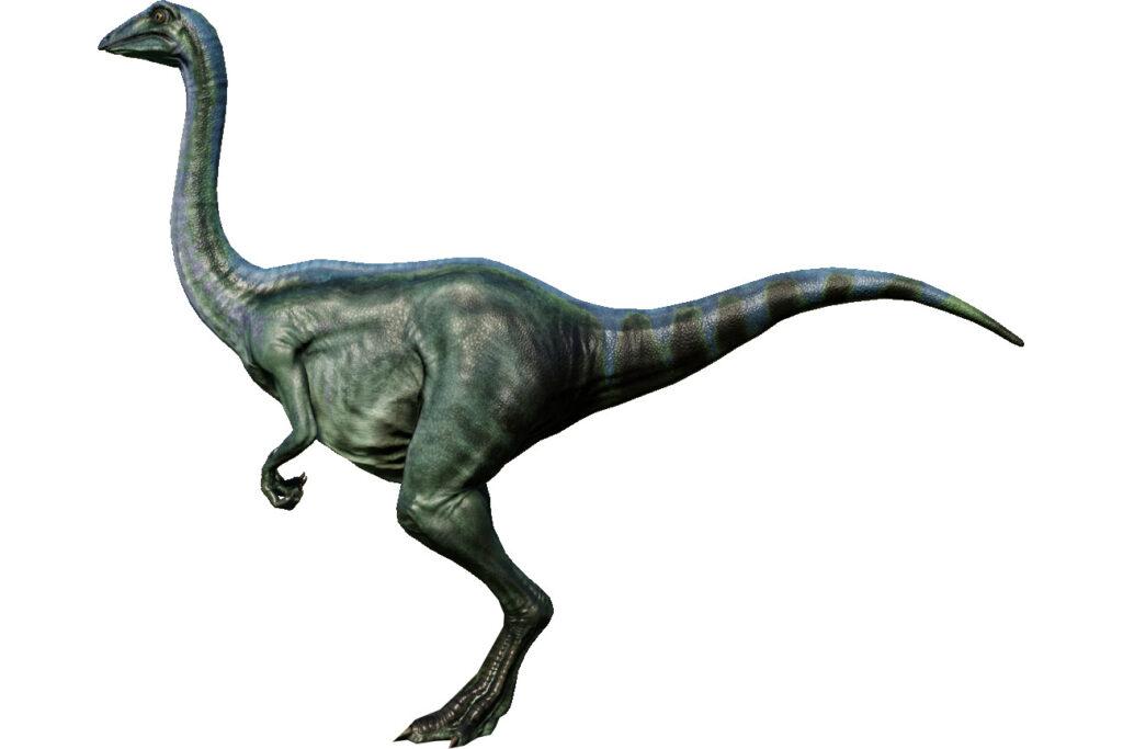 Archaeornithomimus