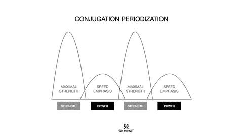 conjugation periodization