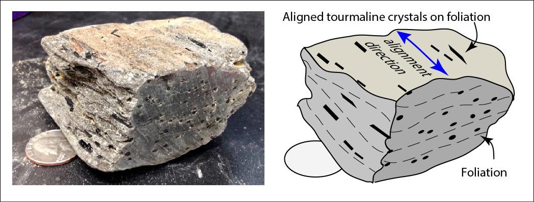 Foliated surface displays non-lineated hornblende grains. A cross-section displays a cross section of foliated plagioclase and hornblende