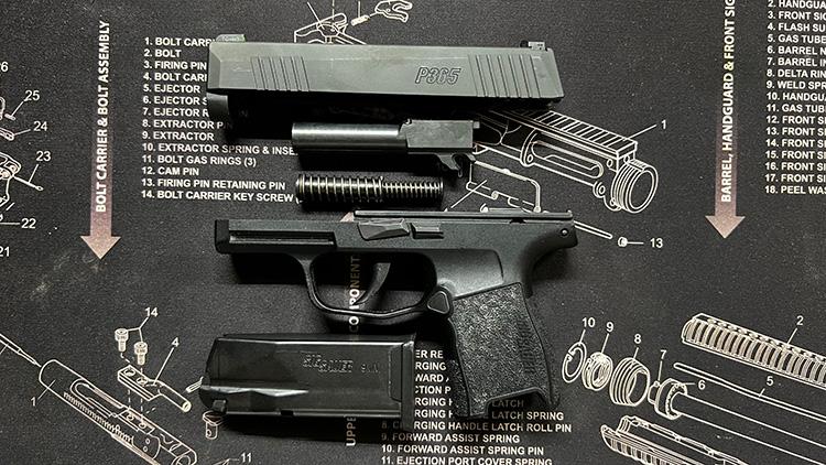 Sig P365 Taken down and exploded view