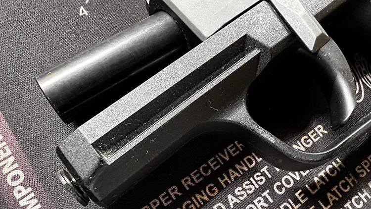 sig p365 rail