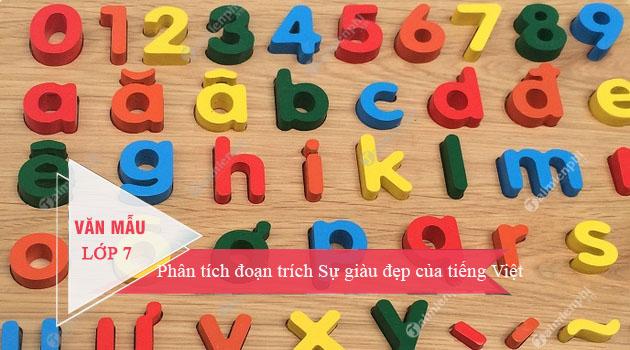 Analyzing an Excerpt: The Richness of Vietnamese Language