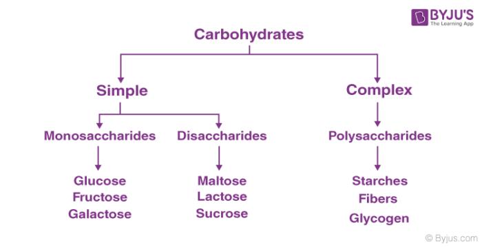 Classification of Carbohydrates