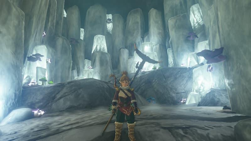 Link in a Cave