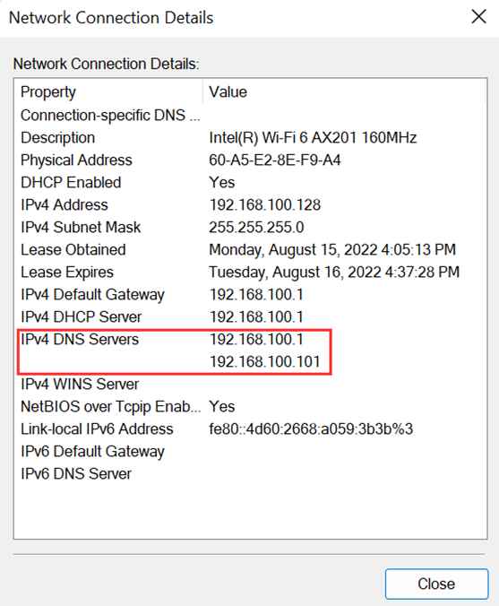 View DNS addresses from Network and Sharing Center