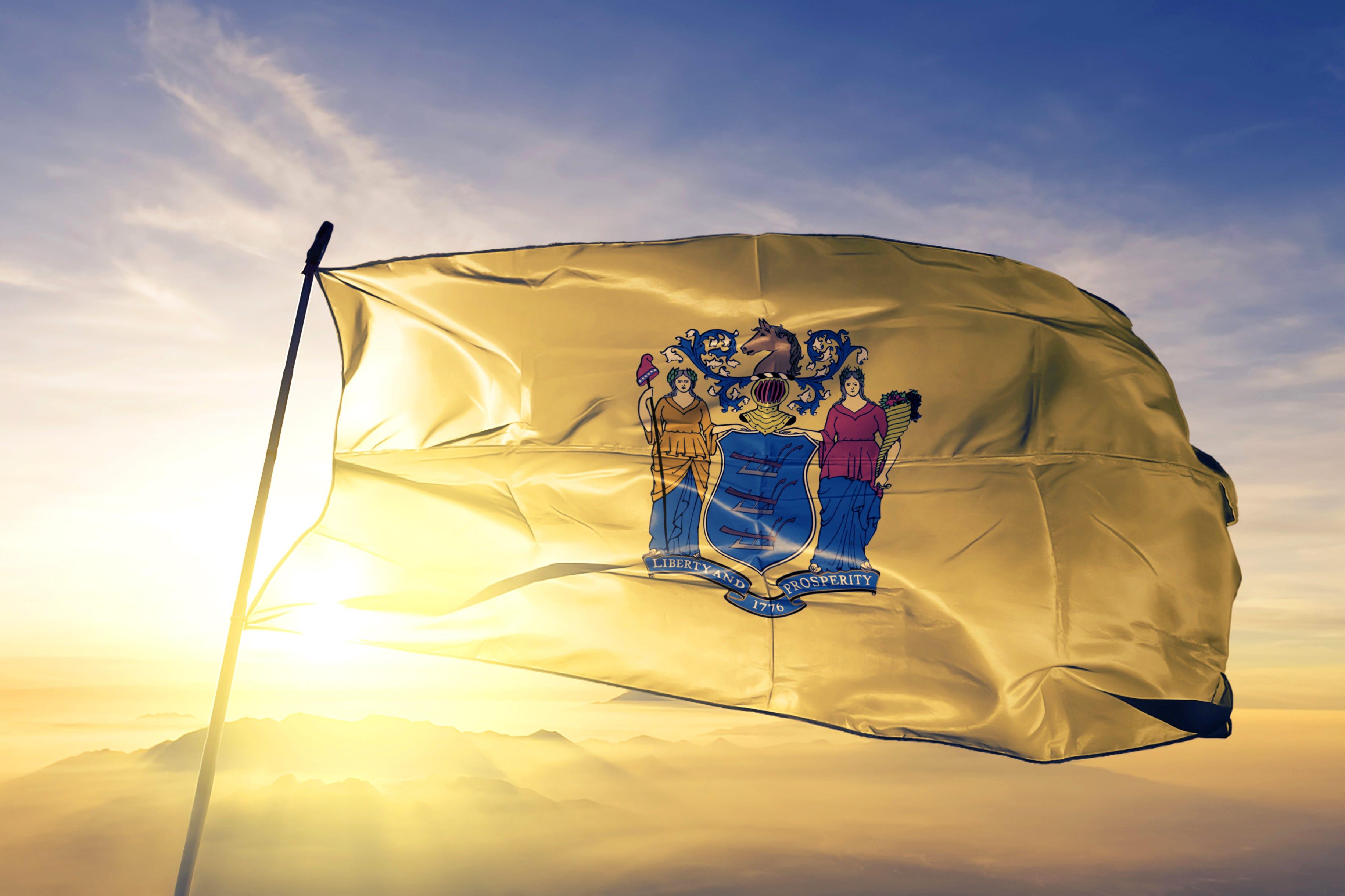 The New Jersey state flag.