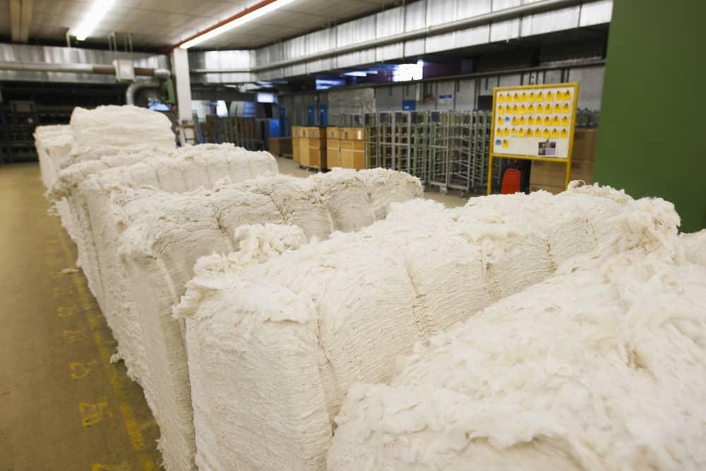 cotton materials at spinning factory