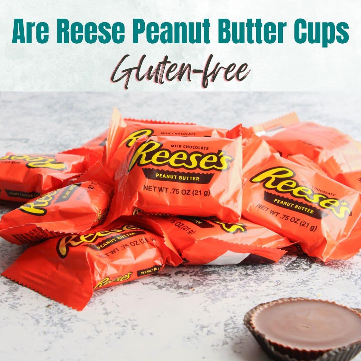 Graphic asking the question, "Are Reese