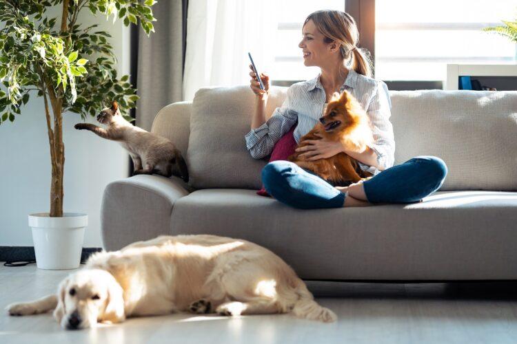 Pretty young woman taking a photo with mobile phone while sitting on the sofa, a dog laying on the floor and the woman