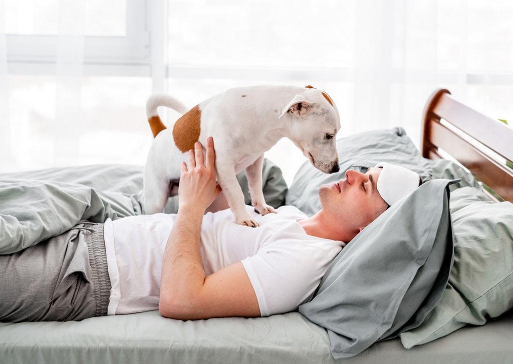 Dog standing on owner’s chest in bed
