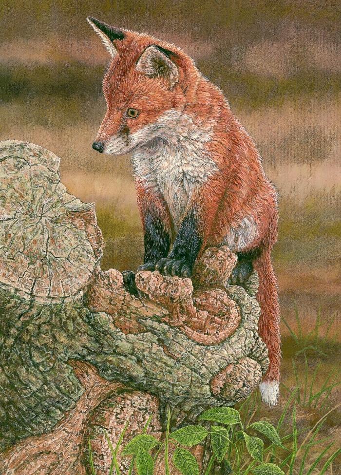 painting of fox cub