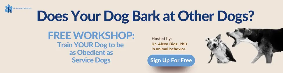 does your dog bark at other dogs 970×250