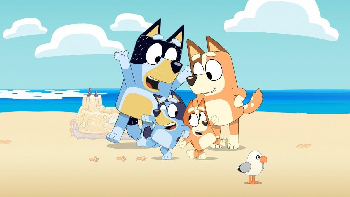 The Heeler family on the beach in