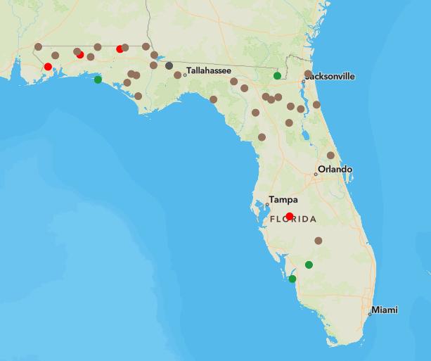 Active wildfires across Florida Feb. 28, 2024.