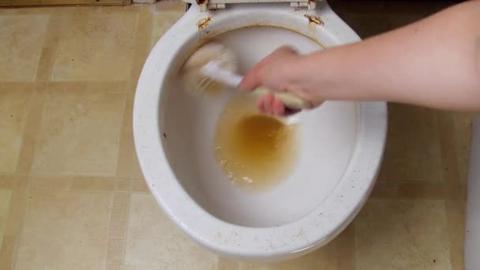 yellow water in toilet