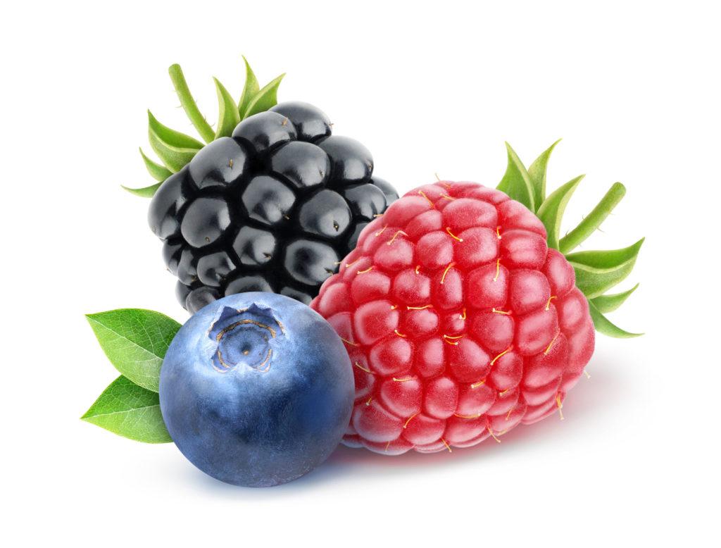 Berry fruits against the white background