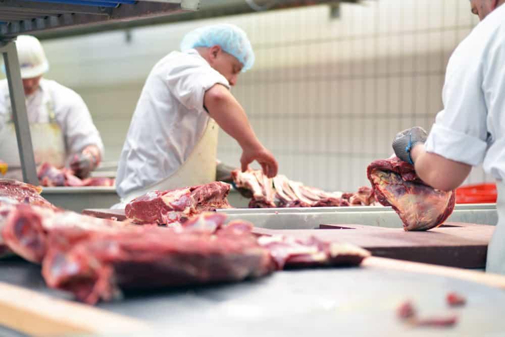 group of butchers works in a slaughterhouse