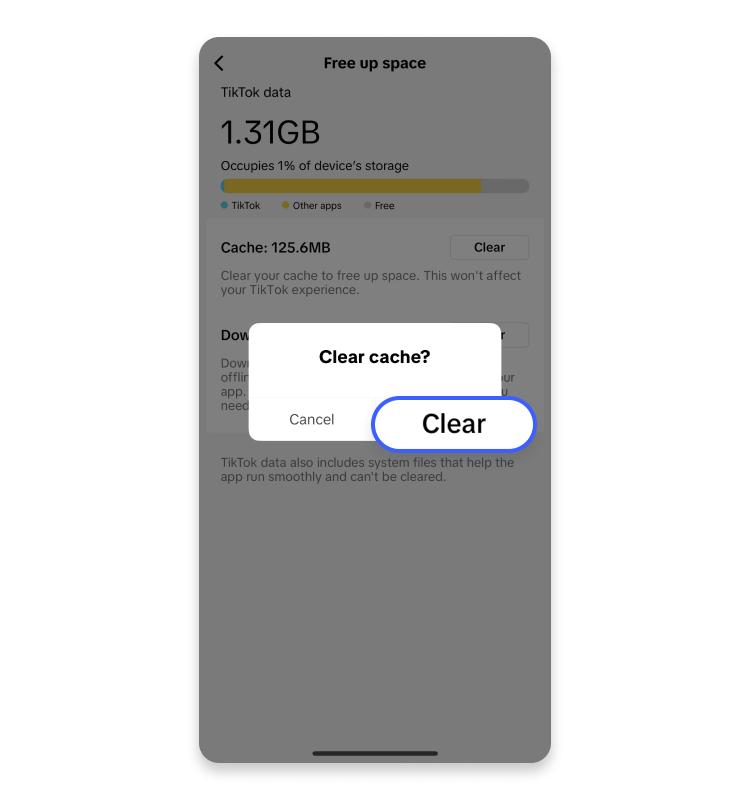 how to clear your TikTok cache on iPhone 5