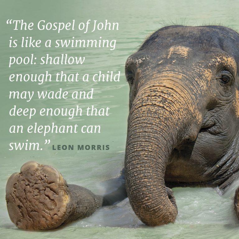 A picture of an elephant in water accompanies the text that says; "The Gospel of John is like a swimming pool: shallow enough that a child may wade and deep enough that an elephant can swim." This quote is from Leon Morris.