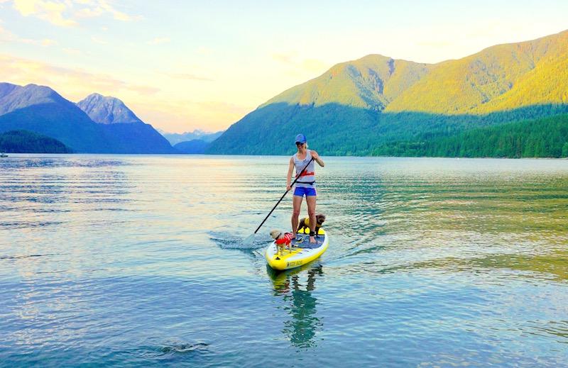 paddling the Body Glove Performer paddle board with two dogs