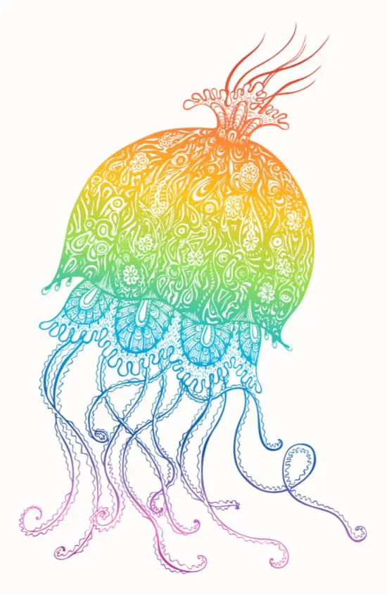 An ornate jellyfish image in a rainbow gradient color scheme.