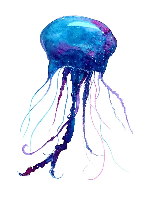 A watercolor image of a jellyfish in shades of blue and purple - this creates a very different mood for a jellyfish tattoo meaning.
