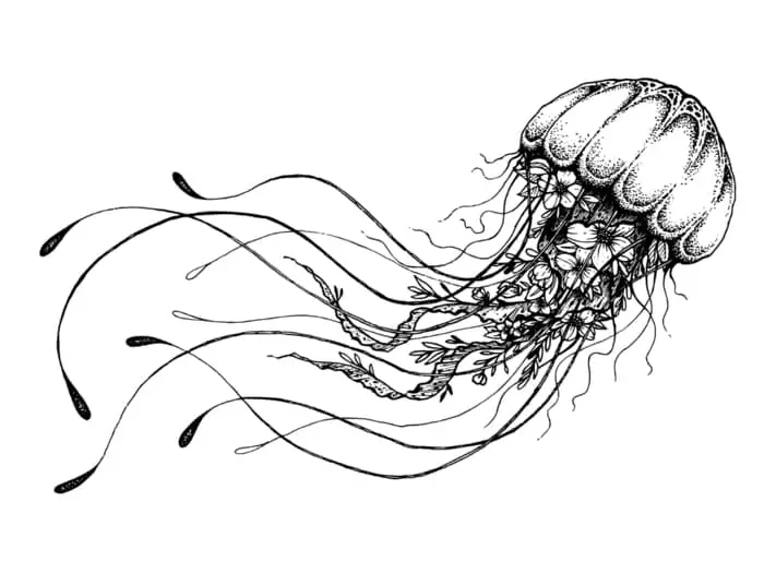 A black and white jellyfish drawn with the body and tentacles showing movement - there are flowers shown in the tentacles, giving the image a fantasy mood.