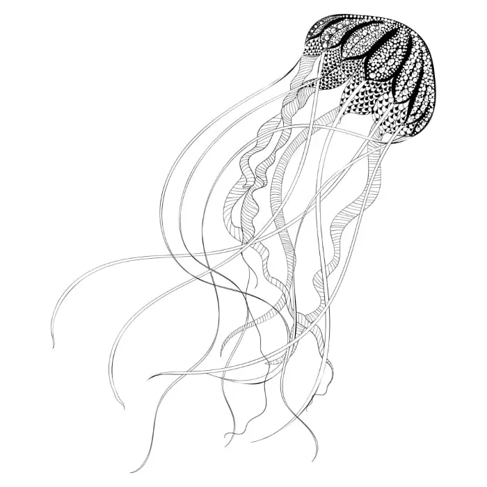 A detailed black and white jellyfish drawn in a decorative art style.