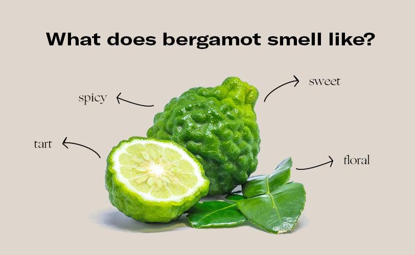 what does bergamot smell like