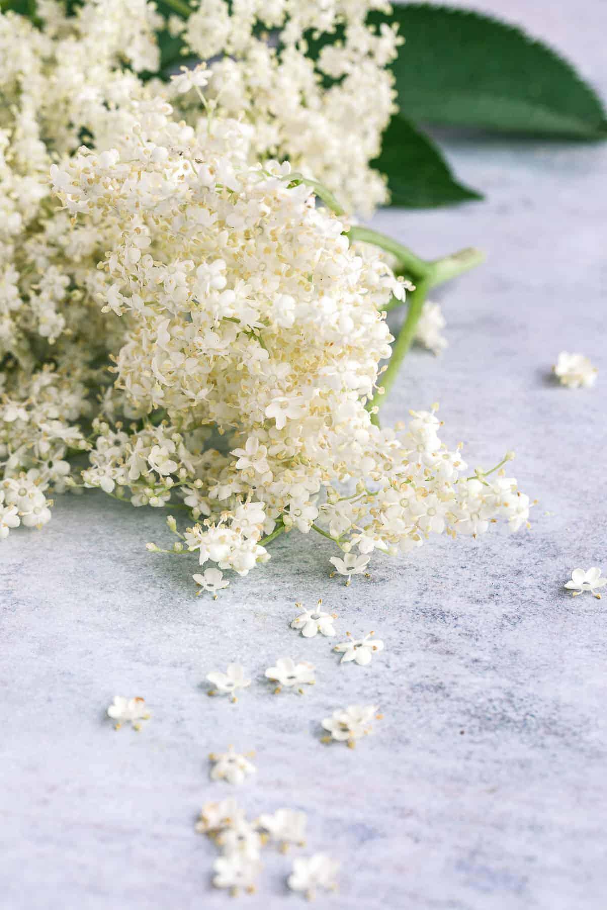 A tub containing heads of elderflower, slices of lemon and citric acid.