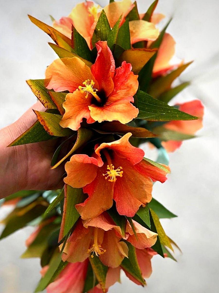 Red Torch Ginger flower for Lei Day leis