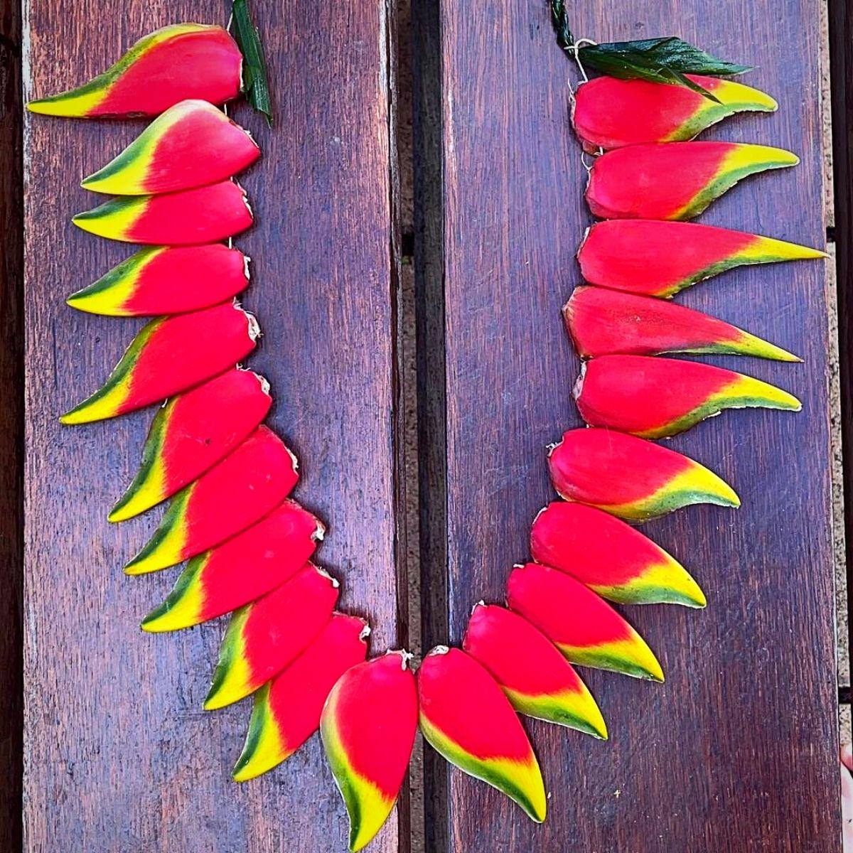 Plumeria flowers for Lei Day.webp