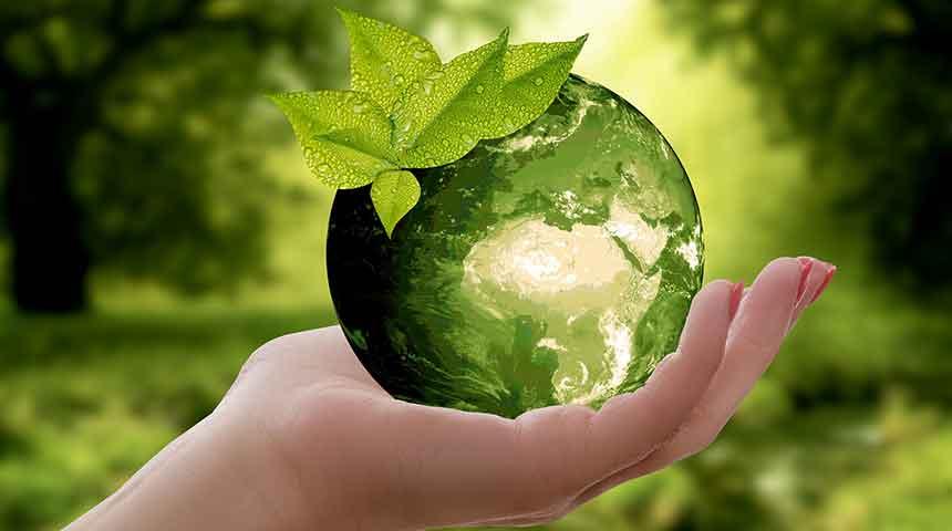 Green Earth Held in the Hand