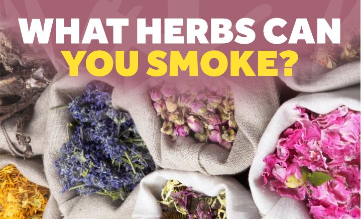 what herbs can you smoke