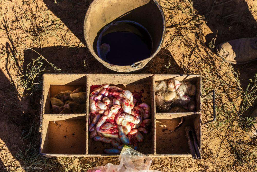 Dinner on the Waggoner Ranch, cowboy style